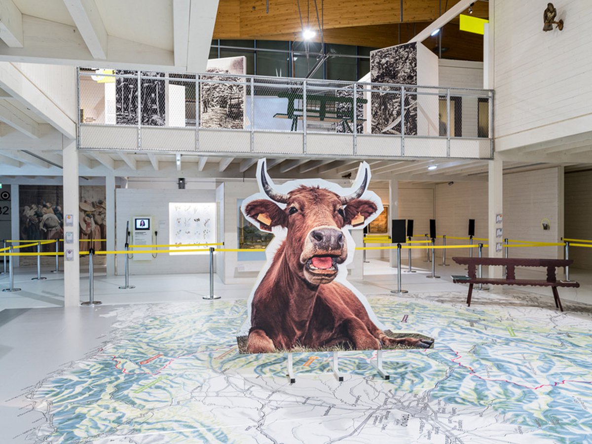 Off to the mountains!