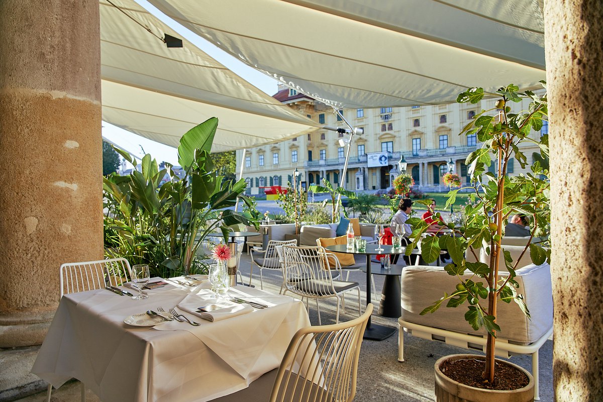 A place in the sun …