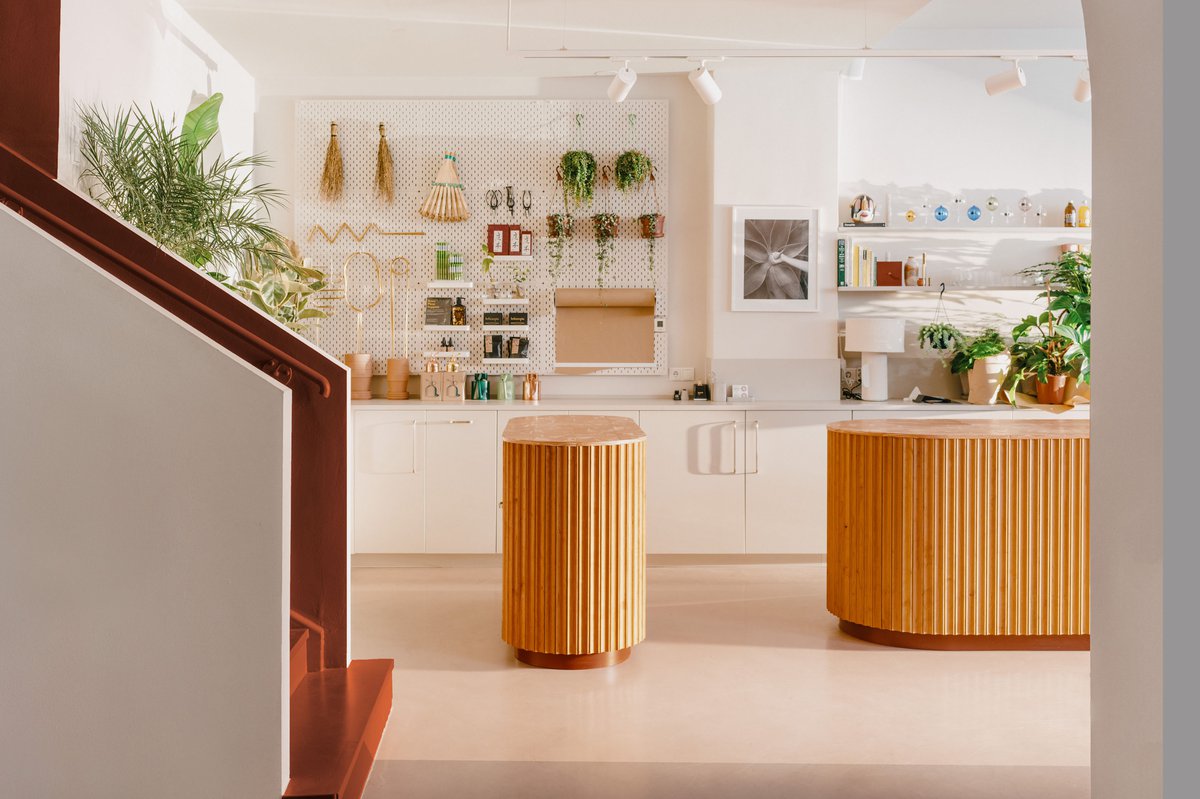 Not only for plant lovers…