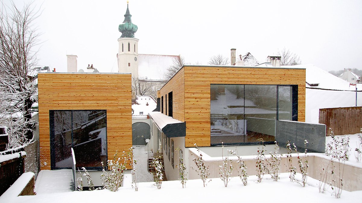 "Reblaus", Block of flats, Cobenzlgasse, Vienna