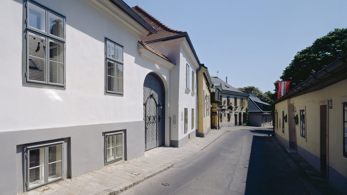"Reblaus", Block of flats, Cobenzlgasse, Vienna