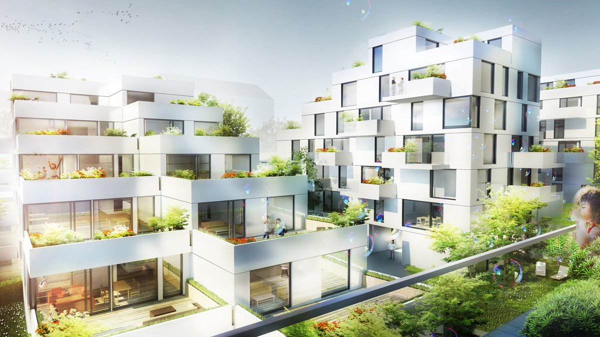 Goldegg Terraces / Competition 2nd place