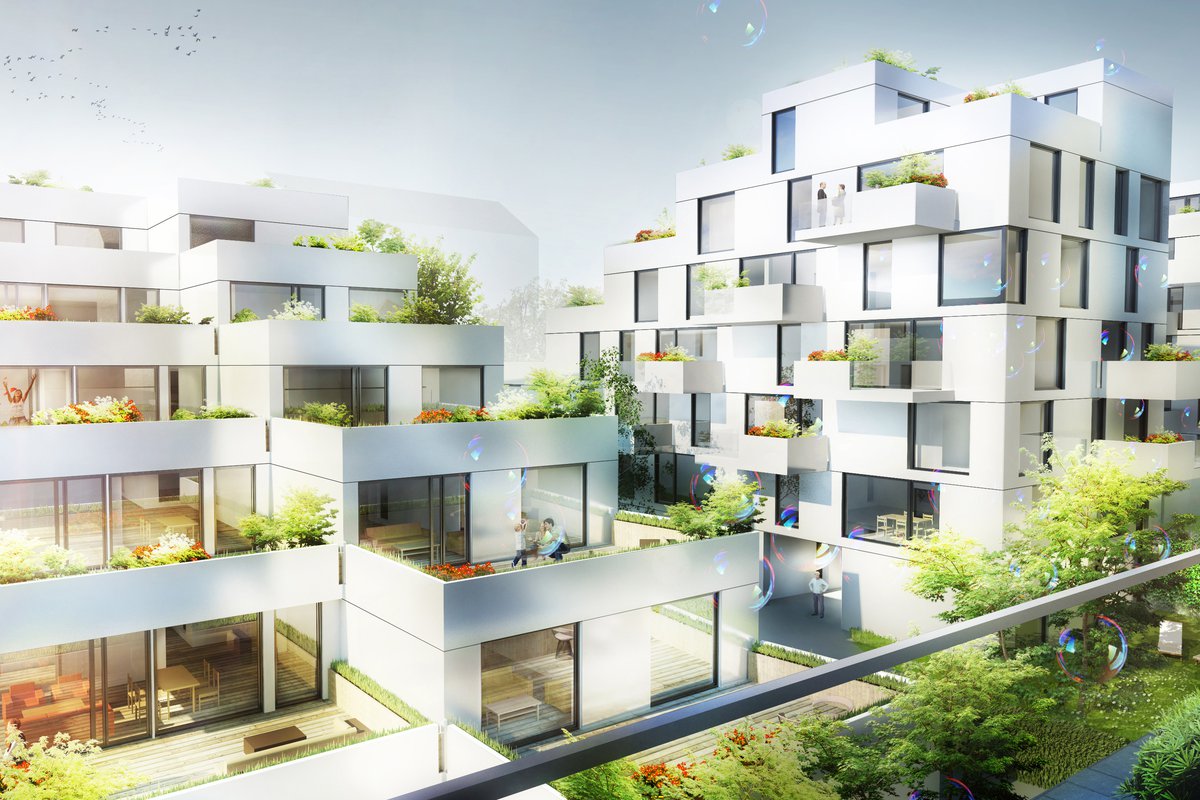 Goldegg Terraces / Competition 2nd place