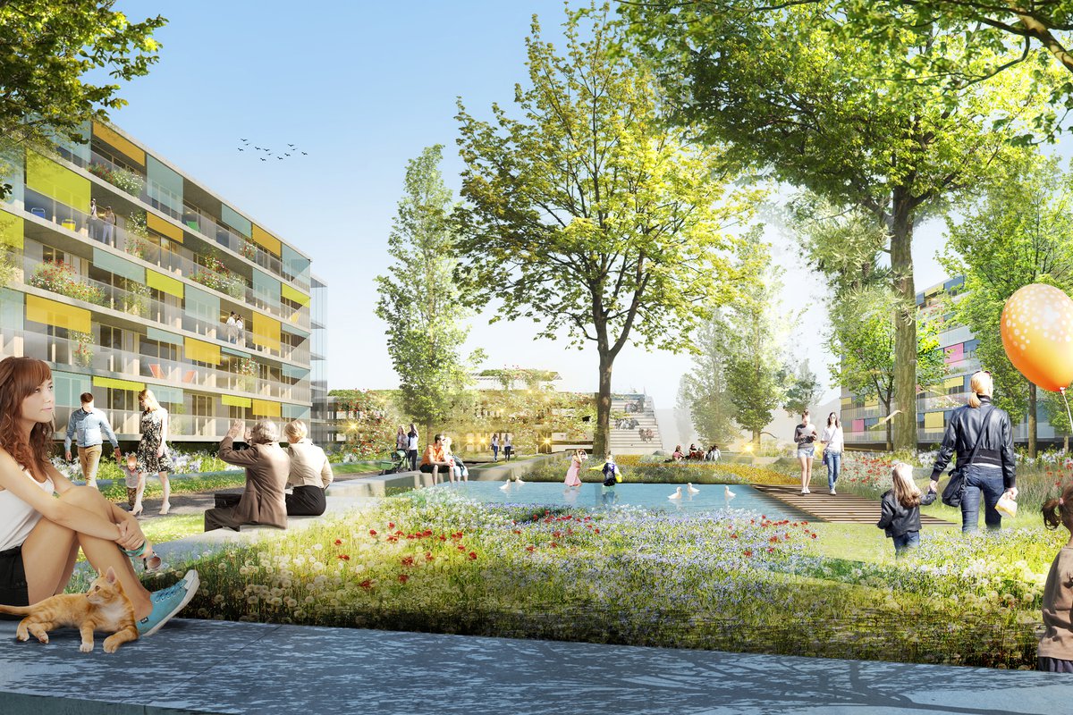 Linz Wimhölzl-Hinterland  / Competition