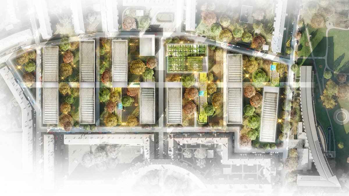 Linz Wimhölzl-Hinterland  / Competition