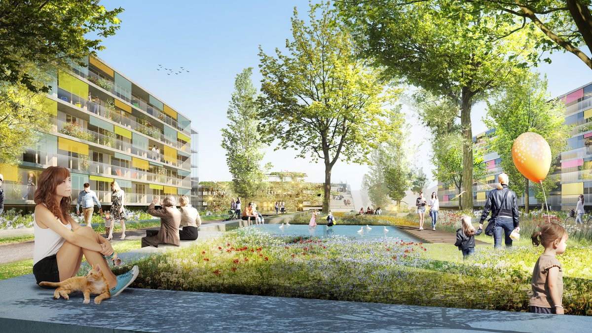 Linz Wimhölzl-Hinterland  / Competition