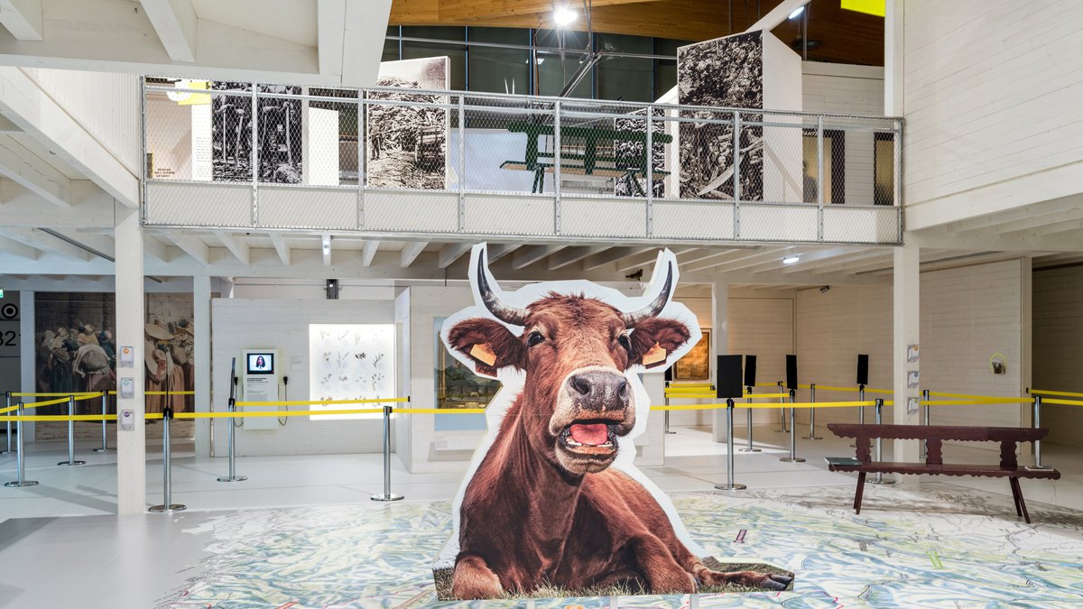 2015 Lower Austria State Exhibition “ÖTSCHER:REICH – The Alps and Us”