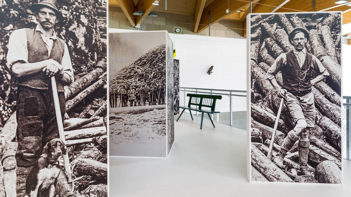 2015 Lower Austria State Exhibition “ÖTSCHER:REICH – The Alps and Us”