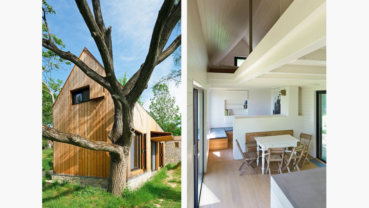 Vineyard cottage in Vienna